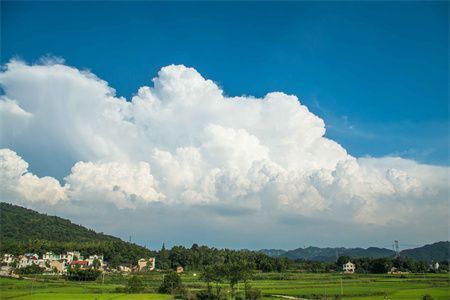 舊房翻新申請報(bào)告（]批準(zhǔn)舊房翻新申請流程指南）