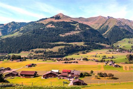 農(nóng)村樓板房怎么加固（農(nóng)村房屋抗震加固技巧樓板房加固成本預(yù)算指南）