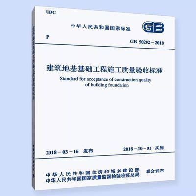 地基基礎(chǔ)設(shè)計(jì)標(biāo)準(zhǔn)DGJ08-11-2018（上海地基基礎(chǔ)設(shè)計(jì)標(biāo)準(zhǔn)dgj08-11-2018）