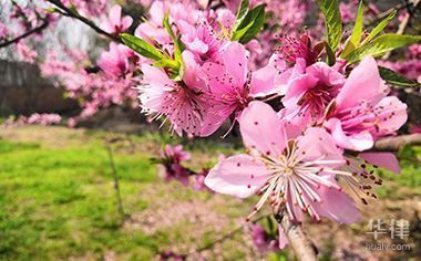 磚混的房子賠償標(biāo)準(zhǔn)是多少