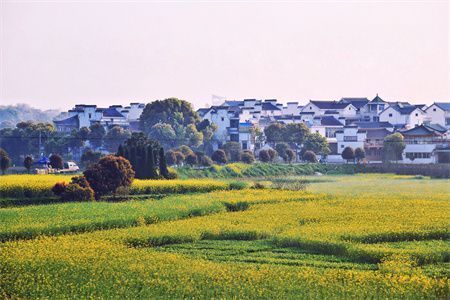 北京房子改造歸哪管理呢（北京房子改造的管理涉及多個(gè)層面和部門北京老舊小區(qū)改造政策）