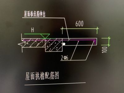 屋面板鋼筋構(gòu)造（屋面板的鋼筋構(gòu)造對于確保建筑安全性和耐久性至關(guān)重要）