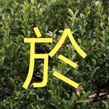 新手學(xué)看鋼結(jié)構(gòu)圖紙的最快方法（鋼結(jié)構(gòu)圖紙顯示）