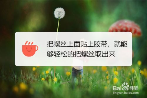 網架螺絲怎么拿出來(網架螺絲怎么取出來) 鋼結構鋼結構螺旋樓梯施工 第5張 網架螺絲怎么拿出來(網架螺絲怎么取出來) 鋼結構鋼結構螺旋樓梯施工 第5張