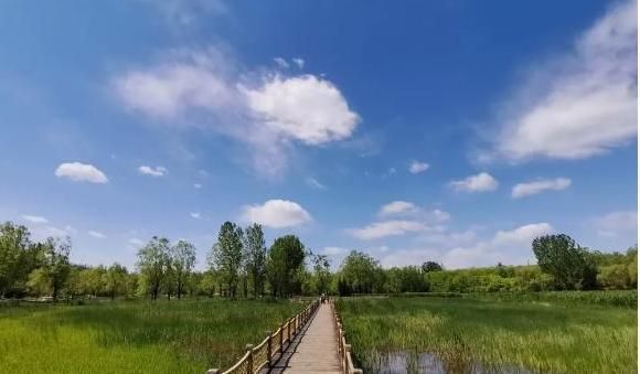 桁架展區(qū)中醫(yī) 建筑效果圖設計 第1張 桁架展區(qū)中醫(yī) 建筑效果圖設計 第1張