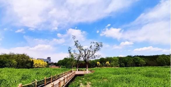 桁架展區(qū)中醫(yī) 建筑效果圖設計 第4張 桁架展區(qū)中醫(yī) 建筑效果圖設計 第4張