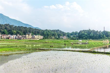 房子地基下沉怎么辦前高后低會(huì)影響居住嗎（地基下沉對(duì)水電管道影響） 鋼結(jié)構(gòu)門(mén)式鋼架施工 第3張