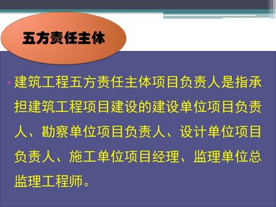 設(shè)計單位 項目負(fù)責(zé)人（設(shè)計單位項目負(fù)責(zé)人的崗位職責(zé)） 鋼結(jié)構(gòu)網(wǎng)架施工 第2張