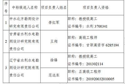 設計項目負責人職稱（設計項目負責人的職稱要求） 結(jié)構(gòu)工業(yè)裝備施工 第4張