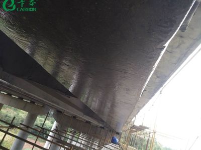 碳纖維加固在橋梁建設(shè)中的優(yōu)勢(shì)(碳纖維加固技術(shù)在橋梁建設(shè)中的應(yīng)用) 鋼結(jié)構(gòu)玻璃棧道設(shè)計(jì) 第5張 碳纖維加固在橋梁建設(shè)中的優(yōu)勢(shì)(碳纖維加固技術(shù)在橋梁建設(shè)中的應(yīng)用) 鋼結(jié)構(gòu)玻璃棧道設(shè)計(jì) 第5張