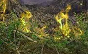 廠房火災(zāi)應(yīng)急預(yù)案制定(廠房火災(zāi)應(yīng)急應(yīng)急預(yù)案) 鋼結(jié)構(gòu)門式鋼架施工 第3張 廠房火災(zāi)應(yīng)急預(yù)案制定(廠房火災(zāi)應(yīng)急應(yīng)急預(yù)案) 鋼結(jié)構(gòu)門式鋼架施工 第3張