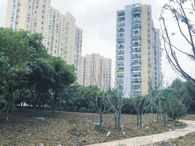 合肥房屋修繕翻新（合肥房屋翻新預(yù)算規(guī)劃，合肥房屋翻新后的維護(hù)建議） 鋼結(jié)構(gòu)跳臺設(shè)計(jì) 第5張