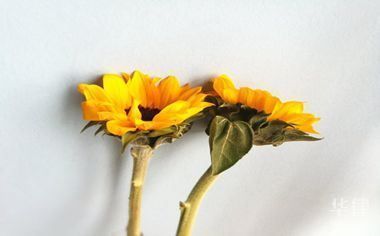 原設計單位責任范圍(原設計單位在建筑設計任務中承擔著重要的責任) 鋼結(jié)構(gòu)玻璃棧道施工 第1張 原設計單位責任范圍(原設計單位在建筑設計任務中承擔著重要的責任) 鋼結(jié)構(gòu)玻璃棧道施工 第1張