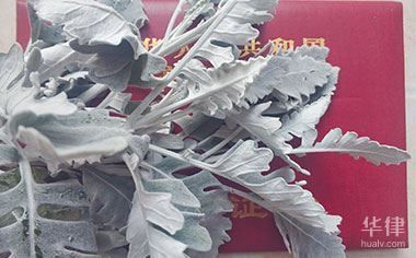 廠房產(chǎn)權(quán)變更登記指南(廠房產(chǎn)權(quán)變更辦理流程) 結(jié)構(gòu)機(jī)械鋼結(jié)構(gòu)施工 第7張 廠房產(chǎn)權(quán)變更登記指南(廠房產(chǎn)權(quán)變更辦理流程) 結(jié)構(gòu)機(jī)械鋼結(jié)構(gòu)施工 第7張