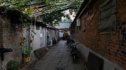 北京平房修繕公司電話(北京房地集團古建修繕保護工程分公司) 結(jié)構(gòu)工業(yè)鋼結(jié)構(gòu)施工 第5張 北京平房修繕公司電話(北京房地集團古建修繕保護工程分公司) 結(jié)構(gòu)工業(yè)鋼結(jié)構(gòu)施工 第5張