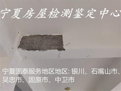 地基加固工程勘察報(bào)告 鋼結(jié)構(gòu)異形設(shè)計(jì) 第4張