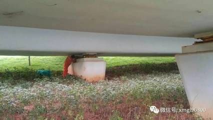 如何提高包鋼板加固的耐久性(包鋼板加固后如何進(jìn)行質(zhì)量檢測) 結(jié)構(gòu)框架施工 第5張 如何提高包鋼板加固的耐久性(包鋼板加固后如何進(jìn)行質(zhì)量檢測) 結(jié)構(gòu)框架施工 第5張