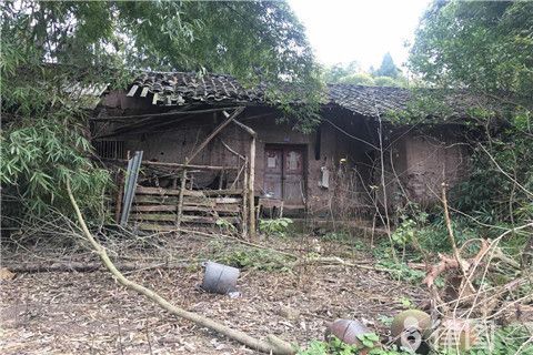 加固改造費(fèi)用由誰(shuí)承擔(dān)（房屋加固改造的費(fèi)用承擔(dān)主體）