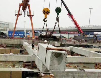 地基加固處理方法有哪幾種類型（地基加固中的生物處理） 建筑消防施工 第3張