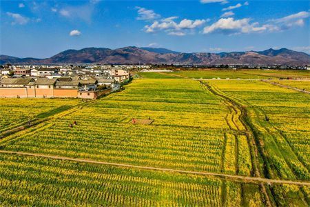承重墻開門洞加固方案視頻(承重墻開門洞加固方案) 鋼結(jié)構(gòu)玻璃棧道施工 第5張 承重墻開門洞加固方案視頻(承重墻開門洞加固方案) 鋼結(jié)構(gòu)玻璃棧道施工 第5張