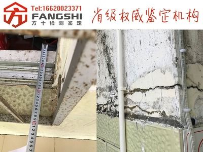 承重墻鑒定機構(gòu)排名最新(承重墻鑒定機構(gòu)排名) 鋼結(jié)構(gòu)網(wǎng)架施工 第4張 承重墻鑒定機構(gòu)排名最新(承重墻鑒定機構(gòu)排名) 鋼結(jié)構(gòu)網(wǎng)架施工 第4張