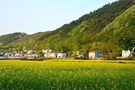 房子地基下沉有什么現象（地基下沉對房屋的影響） 結構橋梁鋼結構設計 第5張