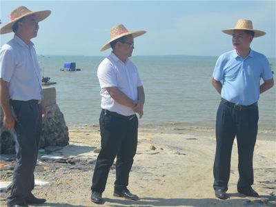 包鋼加固后的維護(hù)保養(yǎng)要點(diǎn)(包鋼加固后如何檢測空鼓率) 結(jié)構(gòu)框架設(shè)計(jì) 第3張 包鋼加固后的維護(hù)保養(yǎng)要點(diǎn)(包鋼加固后如何檢測空鼓率) 結(jié)構(gòu)框架設(shè)計(jì) 第3張