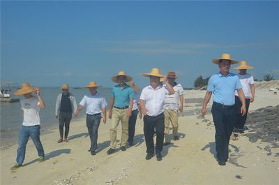 包鋼加固后的維護(hù)保養(yǎng)要點(diǎn)(包鋼加固后如何檢測空鼓率) 結(jié)構(gòu)框架設(shè)計(jì) 第4張 包鋼加固后的維護(hù)保養(yǎng)要點(diǎn)(包鋼加固后如何檢測空鼓率) 結(jié)構(gòu)框架設(shè)計(jì) 第4張