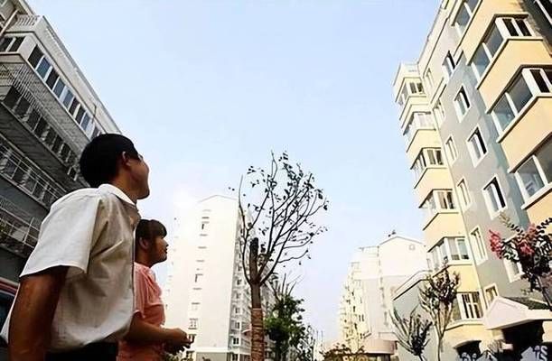樓層改造加樓板(樓層改造加樓板施工工藝詳解,樓層改造安全性評估方法) 鋼結(jié)構(gòu)框架施工 第4張 樓層改造加樓板(樓層改造加樓板施工工藝詳解,樓層改造安全性評估方法) 鋼結(jié)構(gòu)框架施工 第4張