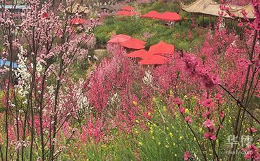 房子里面改造也需要報(bào)住建部審批嗎？（農(nóng)村舊房改造審批流程詳解） 鋼結(jié)構(gòu)蹦極設(shè)計(jì) 第3張