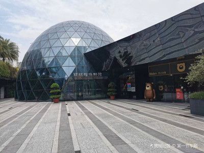 深圳鋼結構博物館需要預約嗎(深圳鋼結構博物館免費開放) 鋼結構鋼結構停車場設計 第1張 深圳鋼結構博物館需要預約嗎(深圳鋼結構博物館免費開放) 鋼結構鋼結構停車場設計 第1張