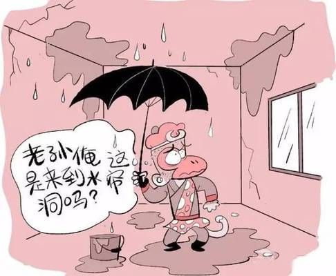 屋頂加固費(fèi)用由誰(shuí)承擔(dān)責(zé)任和義務(wù)（租房合同中屋頂維修責(zé)任如何公平分?jǐn)偅? title=