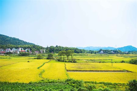 房屋改造賠償標(biāo)準(zhǔn)是多少(臨沂地區(qū)房屋改造案例分析) 結(jié)構(gòu)橋梁鋼結(jié)構(gòu)設(shè)計 第5張 房屋改造賠償標(biāo)準(zhǔn)是多少(臨沂地區(qū)房屋改造案例分析) 結(jié)構(gòu)橋梁鋼結(jié)構(gòu)設(shè)計 第5張