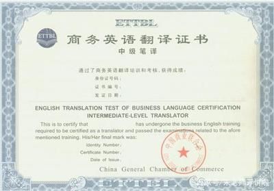 設(shè)計負(fù)責(zé)人需要什么證書（設(shè)計負(fù)責(zé)人的資格要求）