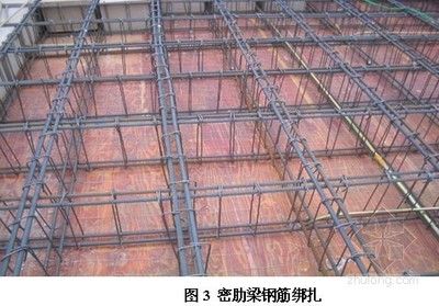 空心樓板鋼筋圖片(空心樓板鋼筋的具體圖片) 鋼結(jié)構(gòu)異形設(shè)計 第4張 空心樓板鋼筋圖片(空心樓板鋼筋的具體圖片) 鋼結(jié)構(gòu)異形設(shè)計 第4張