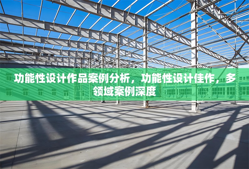 功能性設計作品案例分析，功能性設計佳作，多領域案例深度