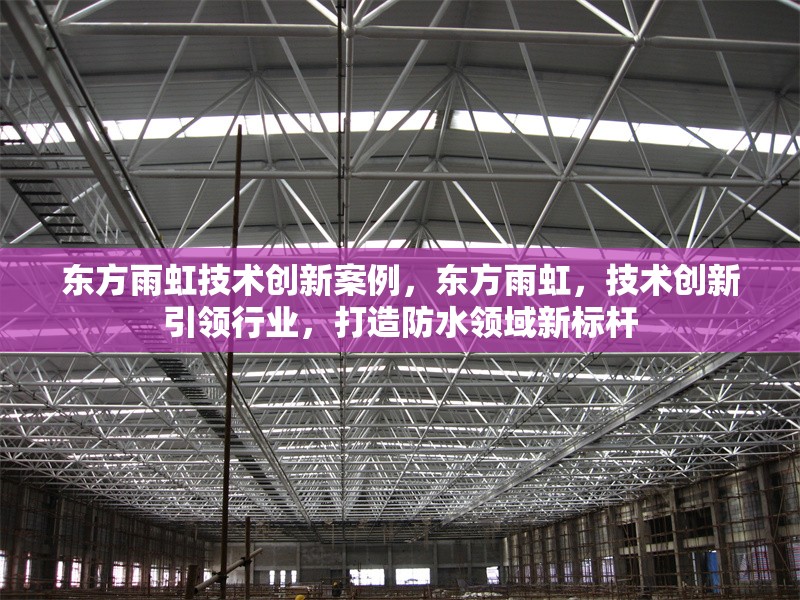 東方雨虹技術(shù)創(chuàng)新案例，東方雨虹，技術(shù)創(chuàng)新引領行業(yè)，打造防水領域新標桿