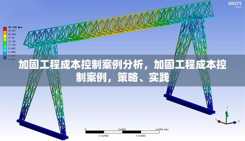 加固工程成本控制案例分析，加固工程成本控制案例，策略、實踐