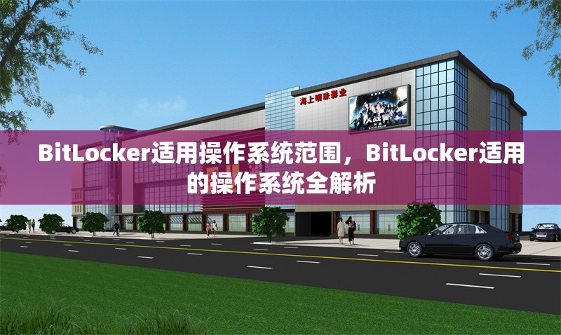 BitLocker適用操作系統(tǒng)范圍，BitLocker適用的操作系統(tǒng)全解析