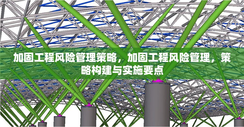 加固工程風險管理策略，加固工程風險管理，策略構(gòu)建與實施要點