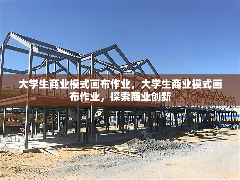 大學(xué)生商業(yè)模式畫布作業(yè)，大學(xué)生商業(yè)模式畫布作業(yè)，探索商業(yè)創(chuàng)新
