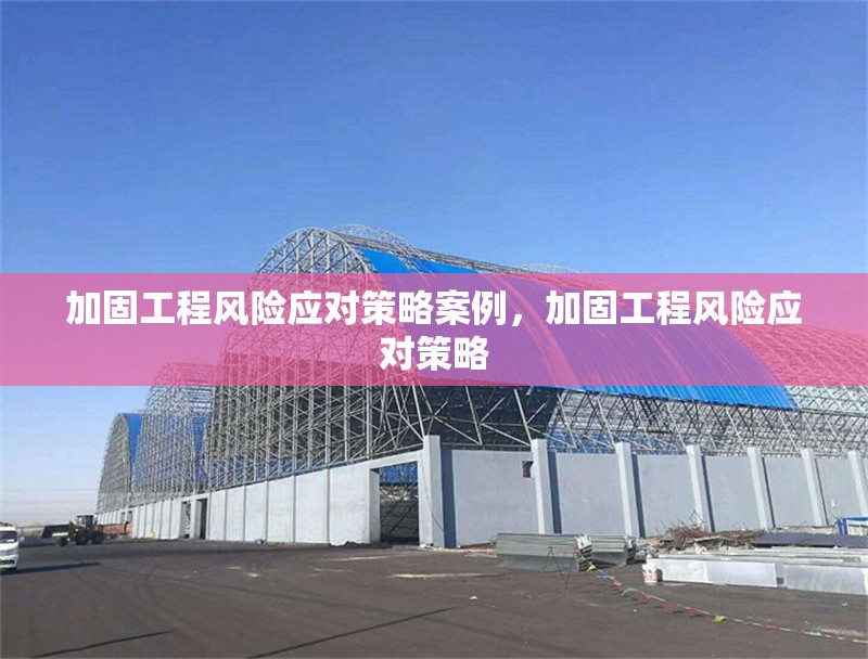加固工程風(fēng)險應(yīng)對策略案例，加固工程風(fēng)險應(yīng)對策略
