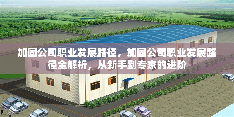 加固公司職業(yè)發(fā)展路徑，加固公司職業(yè)發(fā)展路徑全解析，從新手到專家的進(jìn)階
