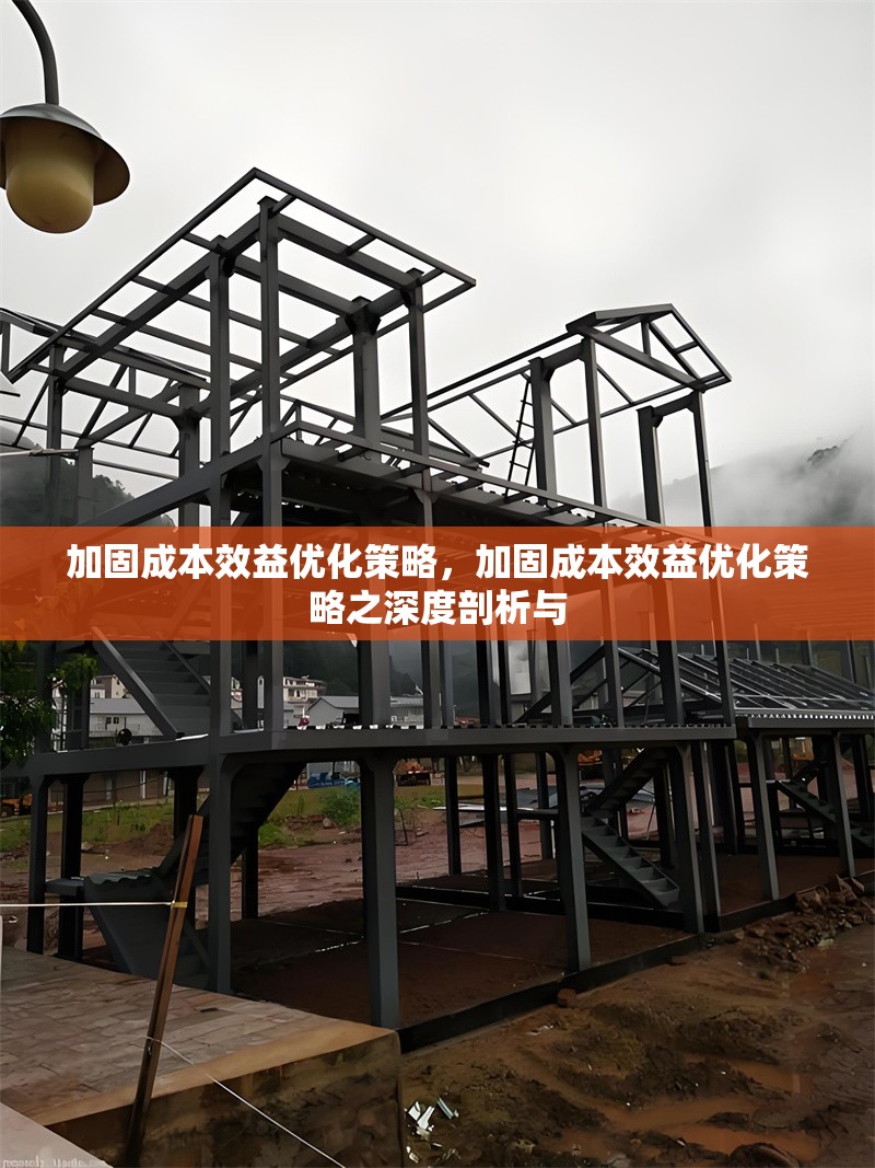 加固成本效益優(yōu)化策略，加固成本效益優(yōu)化策略之深度剖析與
