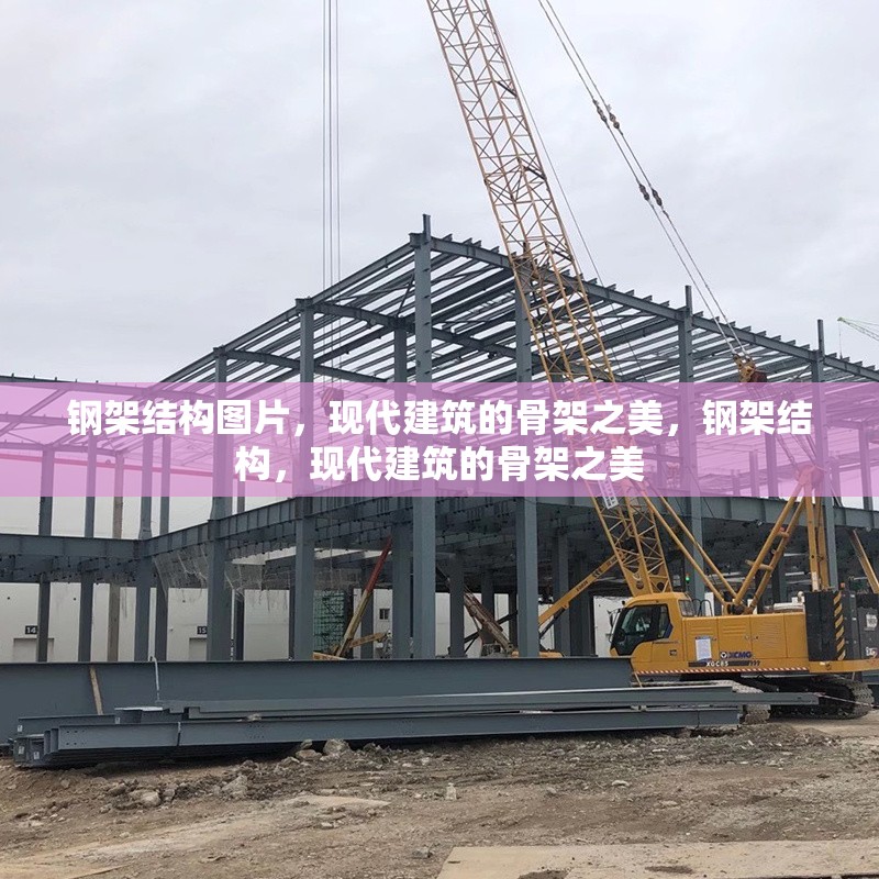 鋼架結(jié)構(gòu)圖片，現(xiàn)代建筑的骨架之美，鋼架結(jié)構(gòu)，現(xiàn)代建筑的骨架之美 行業(yè)新聞