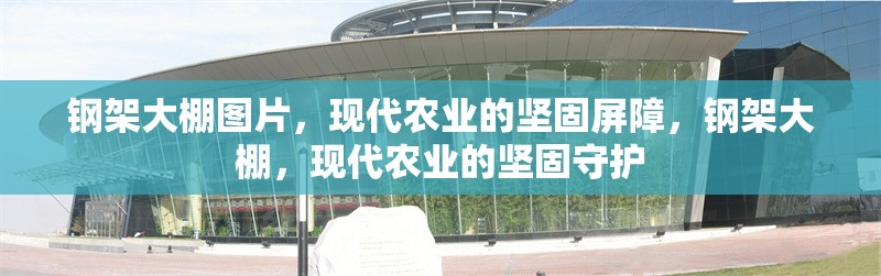 鋼架大棚圖片，現(xiàn)代農(nóng)業(yè)的堅(jiān)固屏障，鋼架大棚，現(xiàn)代農(nóng)業(yè)的堅(jiān)固守護(hù)