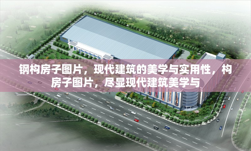 鋼構房子圖片，現(xiàn)代建筑的美學與實用性，構房子圖片，盡顯現(xiàn)代建筑美學與