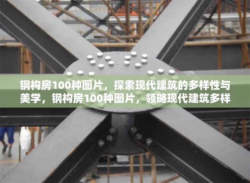 鋼構(gòu)房100種圖片，探索現(xiàn)代建筑的多樣性與美學(xué)，鋼構(gòu)房100種圖片，領(lǐng)略現(xiàn)代建筑多樣美學(xué)
