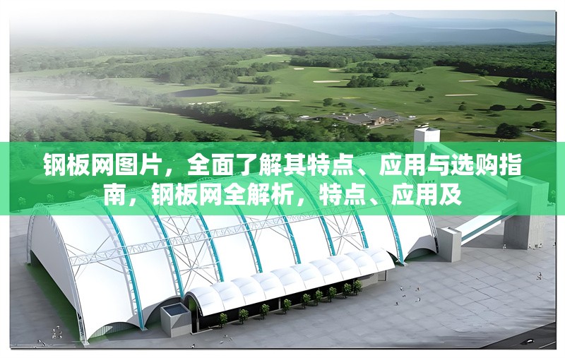 鋼板網(wǎng)圖片，全面了解其特點(diǎn)、應(yīng)用與選購指南，鋼板網(wǎng)全解析，特點(diǎn)、應(yīng)用及 行業(yè)新聞