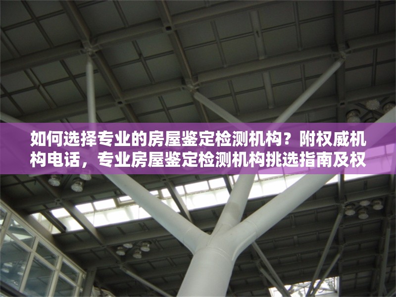 如何選擇專業(yè)的房屋鑒定檢測機構？附權威機構電話，專業(yè)房屋鑒定檢測機構挑選指南及權威 行業(yè)新聞